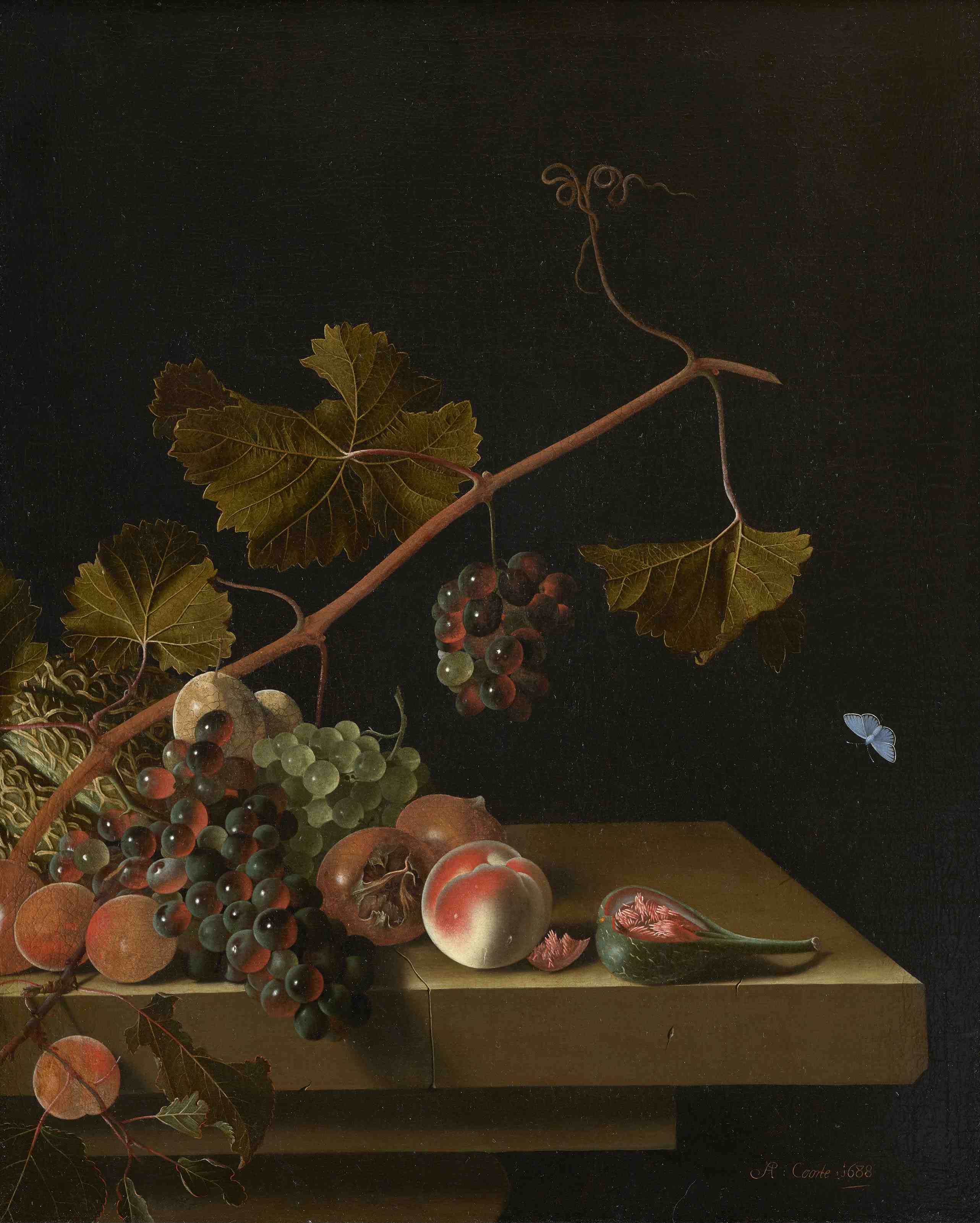 Coorte Fruit 1688.jpg