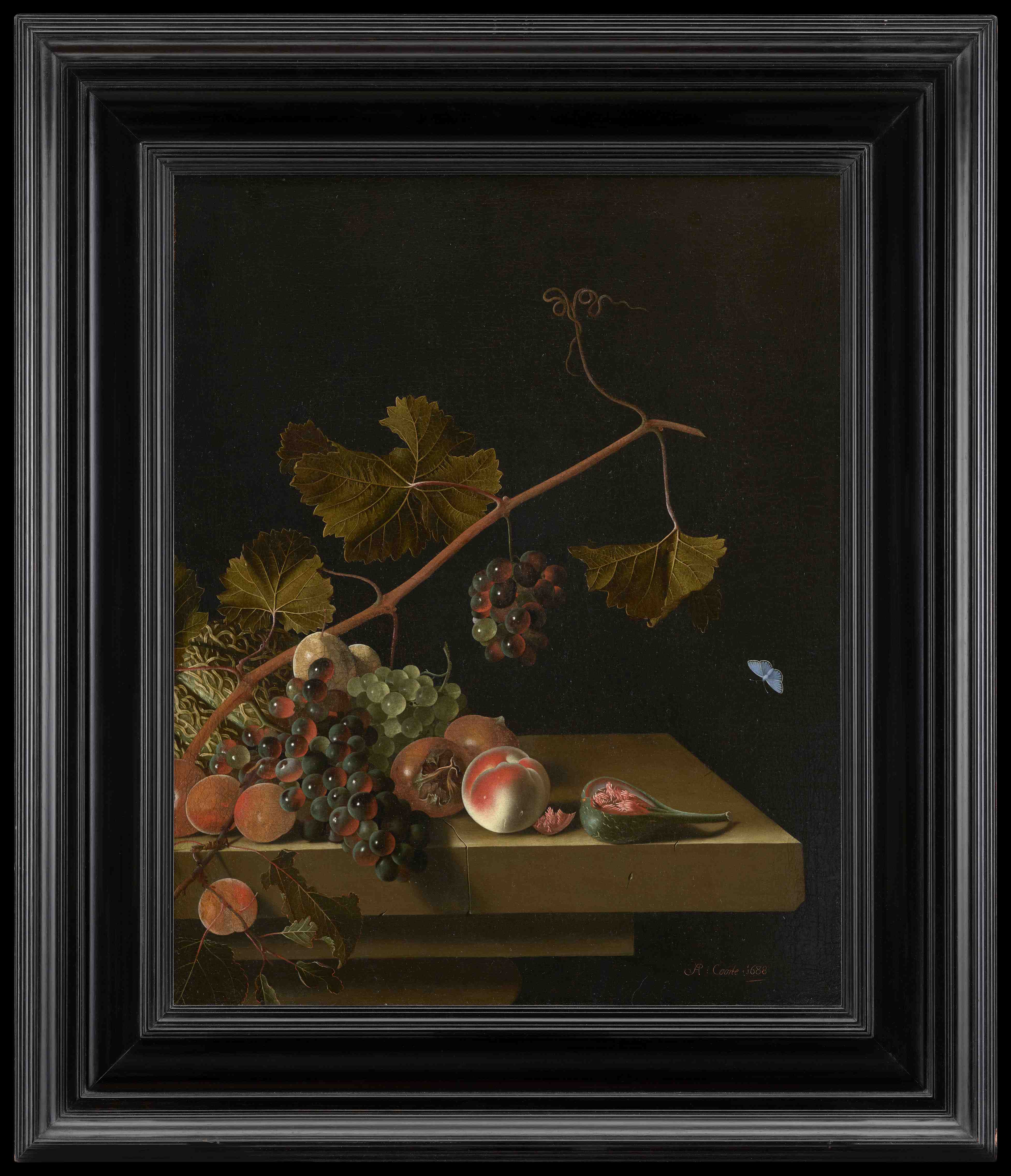 Coorte Fruit 1688 w Frame.jpg