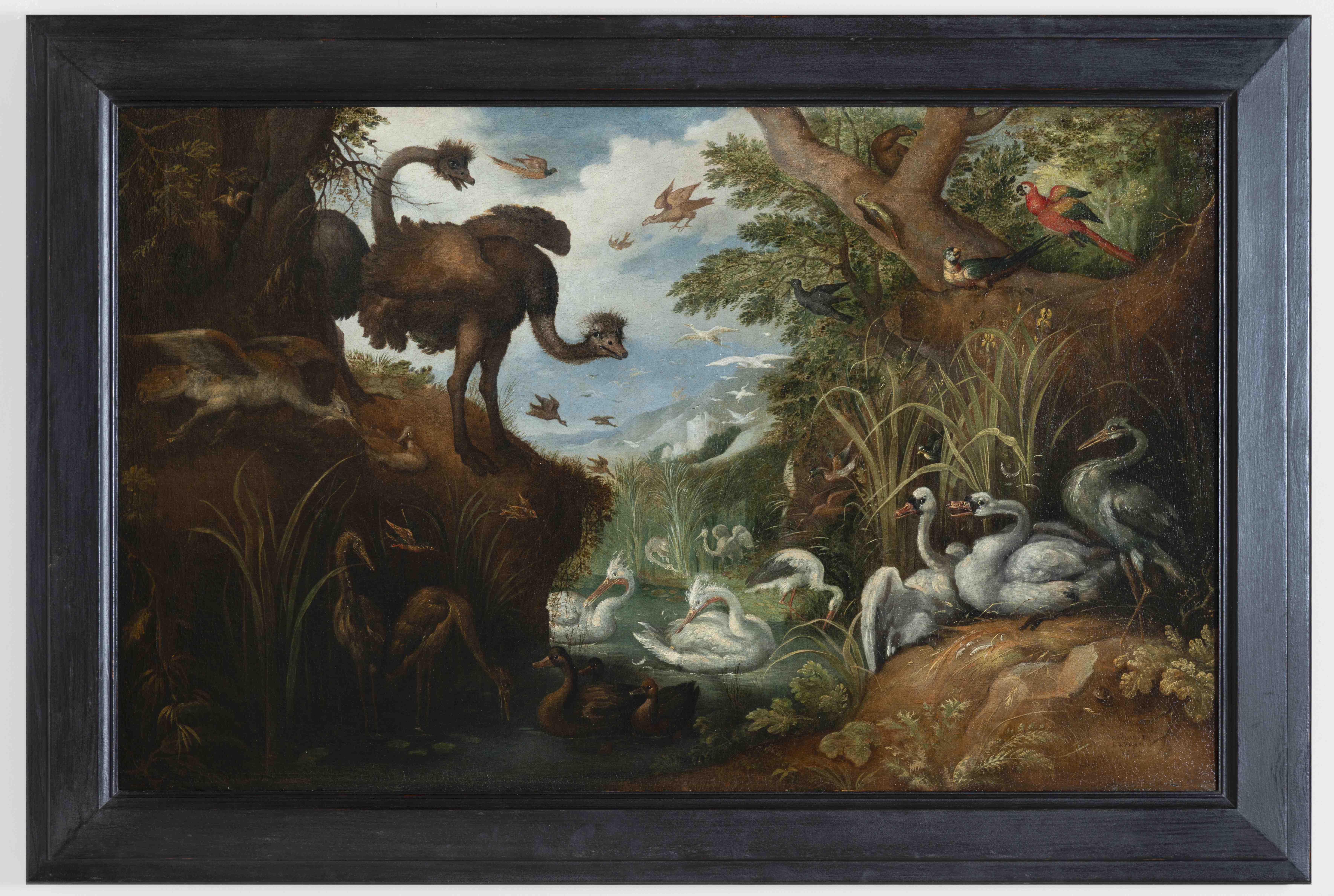 Savery -bewerkt-bewerkt-bewerkt.jpg